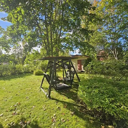 Revontulet Zohar Hazfoni